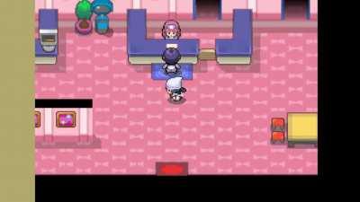 I created a tool that randomizes the entire map of Pokemon Platinum (Emerald supported too!)