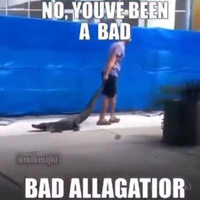 Eres cocodrilo malo 😔