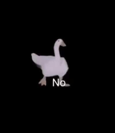 Me when my sister put a betta in a bowl...