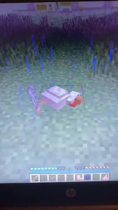 The forever dead chicken, why isn’t it going away?