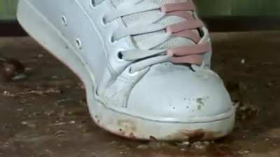 Sneaker Snail Crushing