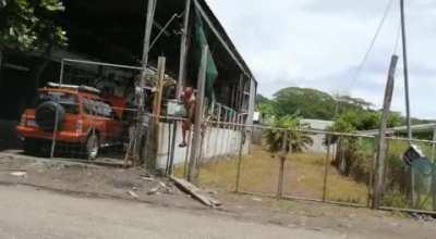 Electrified fence so lemons are no longer stolen from the property.