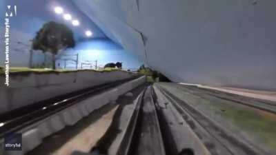 tHe Pe0PLe LiVe uNdER a tYRRAniCAL RULeR