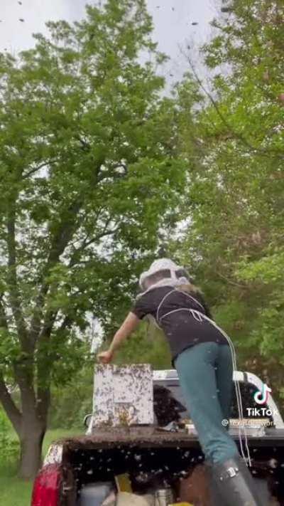 I see one bee and run away meanwhile this lady