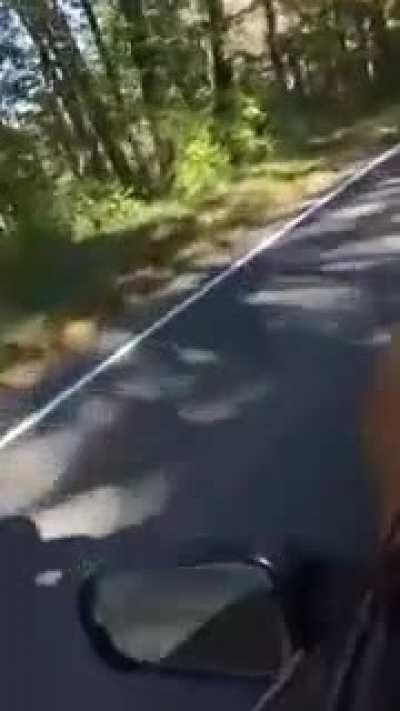 Guys, my Busch Light is gone!