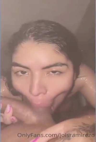 Pequeño aporte prros