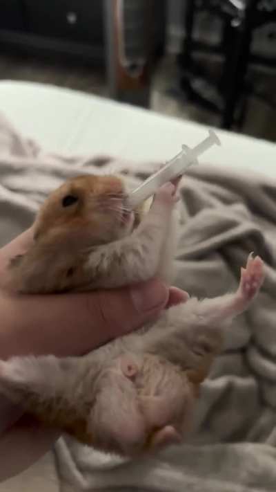 He does this every fucking time I give him medicine