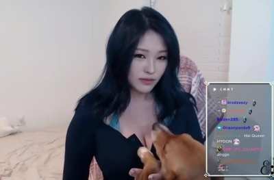 Wish i was a dog sometimes