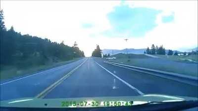 Stupid fucker thinks it's a bird