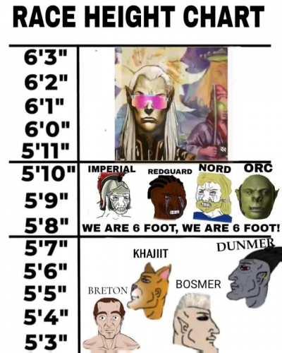 Another Altmeri Classic! (And our good Khajiit and Bosmer friends)