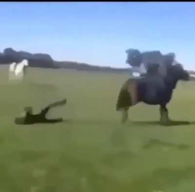 its a hard knock life