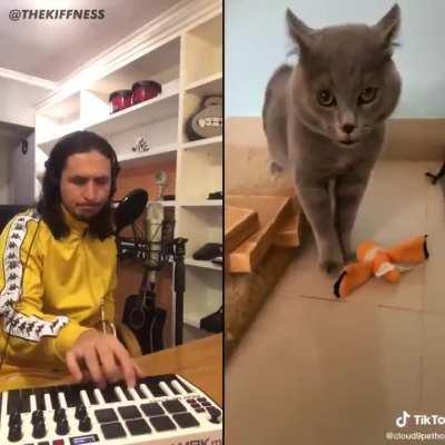 The Kiffness + Alugalug Cat 2.0