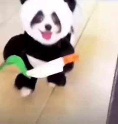 All the funnies of the year (with music)