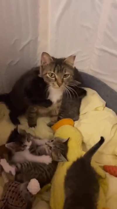 Wunk of fecundation and excessively bad decisions