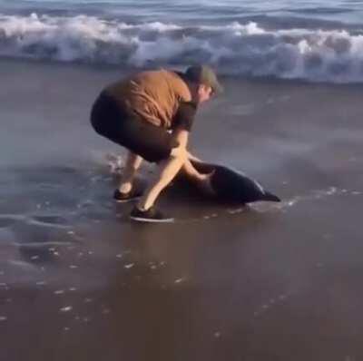 Honey, got the dinner!