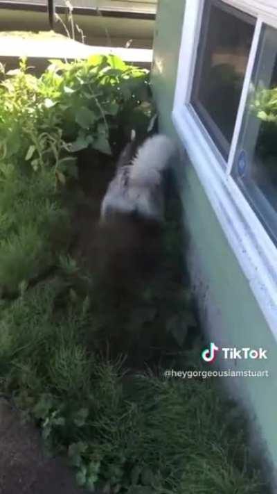 No I don’t wanna be wet!