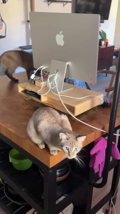 hungry girl always lets me know ❤️