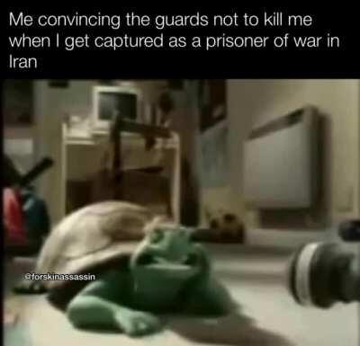 Persian Turtle is our savior ‏فارسي إيران الآن🙏🏽🙏🏽🙏🏽 (Not a Repost I Made This) 🤐🇮🇷🤑🤑🇮🇷🇮🇷🇮🇷🇮🇷💯