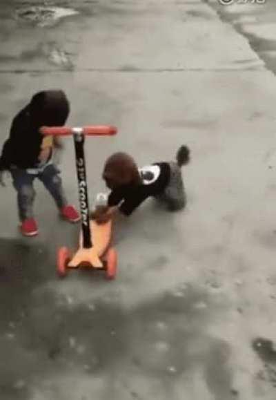 This is how you drive human! LOL