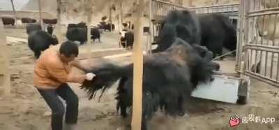 Действенный метод