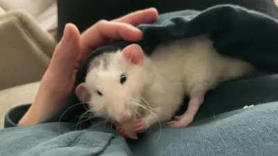 He just melts my heart every single day 🥺