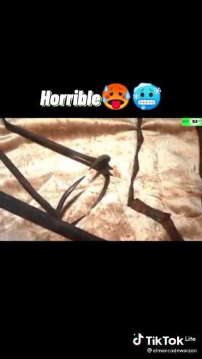 Por favor que nadie lo diga