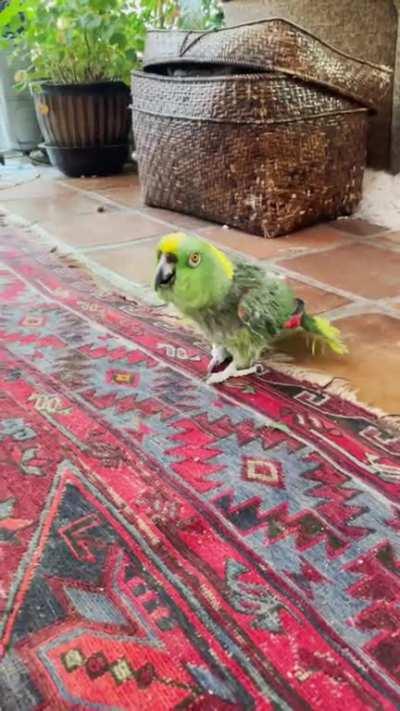 What’s the matter, baby? I’m not gonna hurt you.