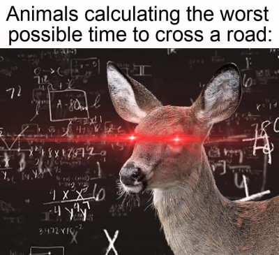 1, 2, 3... the car is coming, GO