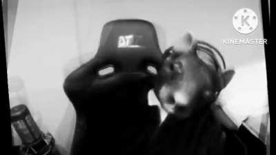 Luangameplay666 - Video #8142