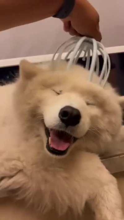 Get it off my face... wait, actually this is really nice