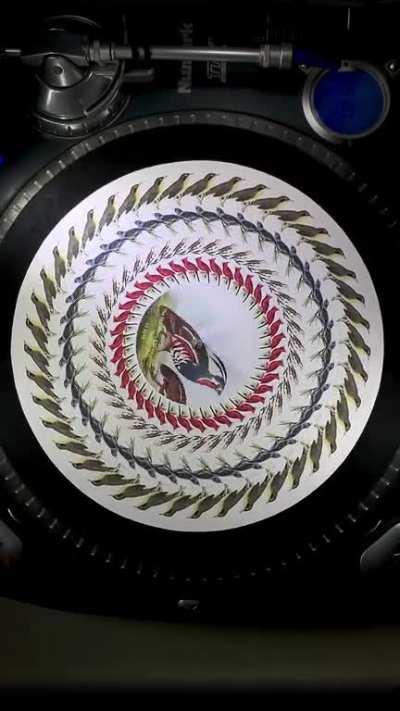 Bonus 45RPM zoetrope 10