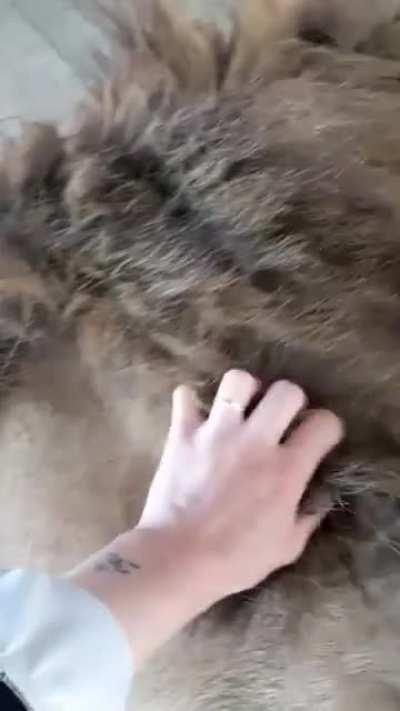 Тот момент, когда есть лишняя рука