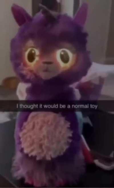 🏵️He has risen🏵️