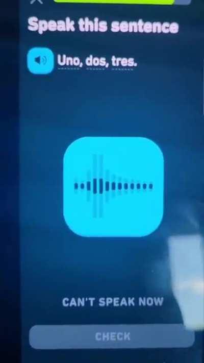 The amount of frustration because I was trying to show my wife who is learning Spanish that this part could be passed. Pinche duolingo si te veo unos destos dias te voy a meter una santa putisa.