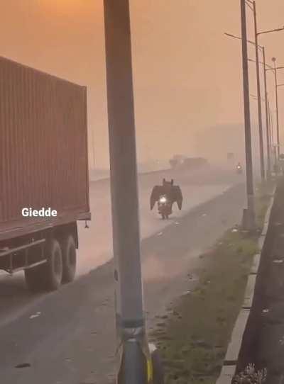 Batman🦇 comes to India 