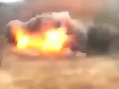 Seriously tho...stop.