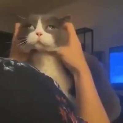 Yess, that's the spot!