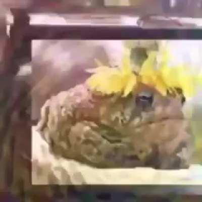 Frog has interesting flashback of past life as an American operative in the cold war