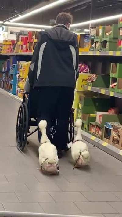 Даже не знаю что забавней: то что они как два Джорджа Вашингтона или то что они в памперсах?