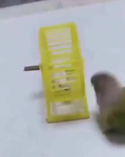 Now that’s just mean