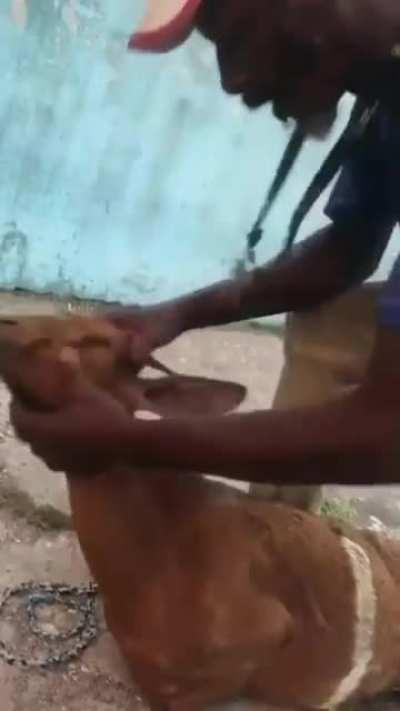 Реанимация