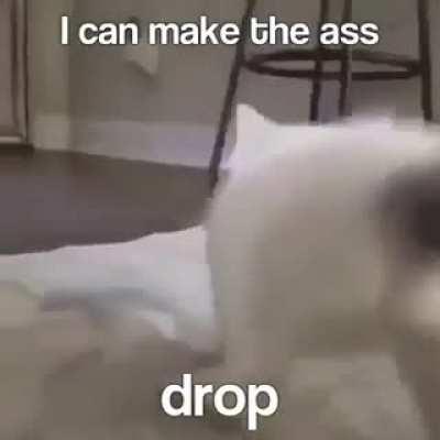 Everday is a good day