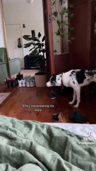 Hell nah I’m selling the house