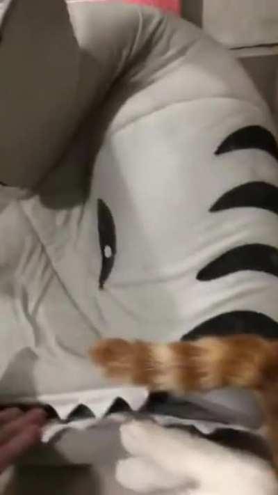 This Seems Like a Good Spot