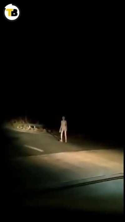 Better Quality video of Hazaribagh Road Alien - I call him Jay Walking J-Rod
