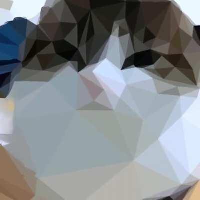 Low poly/Geometric Wawa V2 is done.