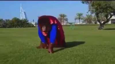 Only one can defeat coronavirus