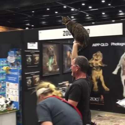 A member of the Internet's ruling class greets her loyal subjects