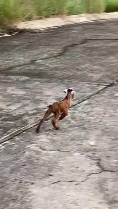 Who’s chopping onions??