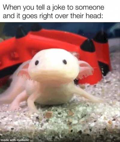 Definitely a woosh worthy experience